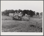 Harvesting soybean seed on the Roger's farm with a co-op combine purchased by Emery M. Hooper through a FSA (Farm Security Administration) community service loan. Corbett Ridge section, Caswell County, North Carolina.