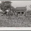 In the fall of the year after the crops are up many tenants and sharecroppers move into another farm. This colored family was moving from this home near Yanceyville to one near Raleigh, North Carolina.