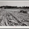 Spreading lime to increase productivity of soil before planting winter wheat on Emery M. Hopper's tobacco farm in Corbett Ridge section. Caswell County, North Carolina.