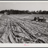 Spreading lime to increase productivity of soil before planting winter wheat on Emery M. Hopper's tobacco farm in Corbett Ridge section. Caswell County, North Carolina.