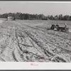 Spreading lime to increase productivity of soil before planting winter wheat on Emery M. Hopper's tobacco farm in Corbett Ridge section. Caswell County, North Carolina.