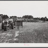 Harvesting soybean seed on the Roger's farm with a co-op combine purchased by Emery M. Hooper through a FSA (Farm Security Administration) co-op community service loan. Corbett Ridge section, Caswell County, North Carolina.