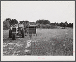 Harvesting soybean seed on the Roger's farm with a co-op combine purchased by Emery M. Hooper through a FSA (Farm Security Administration) co-op community service loan. Corbett Ridge section, Caswell County, North Carolina.