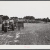 Harvesting soybean seed on the Roger's farm with a co-op combine purchased by Emery M. Hooper through a FSA (Farm Security Administration) co-op community service loan. Corbett Ridge section, Caswell County, North Carolina.