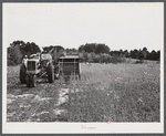 Harvesting soybean seed on the Roger's farm with a co-op combine purchased by Emery M. Hooper through a FSA (Farm Security Administration) co-op community service loan. Corbett Ridge section, Caswell County, North Carolina.