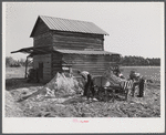 Spreading lime to increase productivity of soil before planting winter wheat on Emery M. Hooper's tobacco farm in Corbett Ridge section. Caswell County, North Carolina.