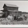 Spreading lime to increase productivity of soil before planting winter wheat on Emery M. Hooper's tobacco farm in Corbett Ridge section. Caswell County, North Carolina.