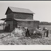 Spreading lime to increase productivity of soil before planting winter wheat on Emery M. Hooper's tobacco farm in Corbett Ridge section. Caswell County, North Carolina.