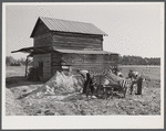 Spreading lime to increase productivity of soil before planting winter wheat on Emery M. Hooper's tobacco farm in Corbett Ridge section. Caswell County, North Carolina.