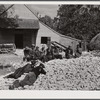 Black hands and helpers from nearby farms resting after a corn shucking before dinner on the Hooper farm. Corbett Ridge section. Caswell County, North Carolina.