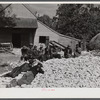 Black hands and helpers from nearby farms resting after a corn shucking before dinner on the Hooper farm. Corbett Ridge section. Caswell County, North Carolina.