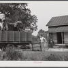 In the fall of the year after the crops are up many tenants and share croppers move into another farm. This Black family was moving from this home near Yanceyville to one near Raleigh, North Carolina. Caswell County, North Carolina.