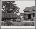 In the fall of the year after the crops are up many tenants and share croppers move into another farm. This Black family was moving from this home near Yanceyville to one near Raleigh, North Carolina. Caswell County, North Carolina.