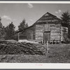 Sticks used in stripping tobacco in front of strip house on Emery Hooper's farm in Corbett Ridge section near Prospect Hill. Caswell County, North Carolina.