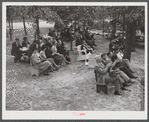 Citizens of Caswell County listening to speakers after a picnic and barbecue at the CCC (Civilian Conservation Corps) camp. They had just attended a county land use planning meeting in the courthouse in Yanceyville, North Carolina.