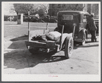 Farmer returning home after selling his tobacco at auction. In the trailer are sacks of flour and meal and the tobacco sticks. Yanceyville, Caswell County, North Carolina.