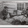 E.O Foster, FSA (Farm Security Administration) tenant purchase borrower grading and stripping his tobacco. Caswell County, North Carolina.