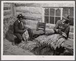 E.O Foster, FSA (Farm Security Administration) tenant purchase borrower grading and stripping his tobacco. Caswell County, North Carolina.