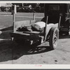 Farmer returning home after selling his tobacco at auction. In the trailer are sacks of flour and meal and the tobacco sticks. Yanceyville, Caswell County, North Carolina.