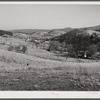 The fertile Shenandoah in the fall. Virginia.