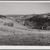 The fertile Shenandoah in the fall. Virginia.