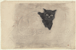 Chat noir sur un journal