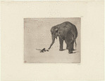 Le singe et l'elephant