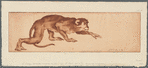 Singe et marrons