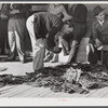 Grading muskrats while fur buyers and Spanish trappers look on, during auction sale on porch of community store in Saint Bernard, Louisiana.