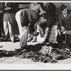 Grading muskrats while fur buyers and Spanish trappers look on, during auction sale on porch of community store in Saint Bernard, Louisiana.