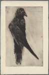 Le grand corbeau pendu