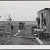 Muskrat skins hanging up to dry by Spanish trapper's home in the marshes. He then takes the furs to the island to sell. Delacroix Island, Saint Bernard Parish, Louisiana.