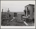 Muskrat skins hanging up to dry by Spanish trapper's home in the marshes. He then takes the furs to the island to sell. Delacroix Island, Saint Bernard Parish, Louisiana.