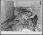 Spanish muskrat trapper on his camp bed after too much whiskey and red wine. Delacroix Island, Saint Bernard Parish, Louisiana.