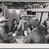 Spanish muskrat trappers drinking wine and playing "cache," a form of poker, in their camp in the marshes. Delacroix Island, Saint Bernard Parish, Louisiana.