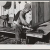 Spanish trapper skinning his muskrats before hanging them up to dry at the side of his marsh camp. Delacroix Island, Saint Bernard Parish, Louisiana.