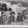 Spanish muskrat trappers drinking wine after dinner. On the walls of their marsh camp are hung the dried pelts. Delacroix Island, Saint Bernard Parish, Louisiana.