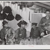 Spanish muskrat trappers drinking wine after dinner. On the walls of their marsh camp are hung the dried pelts. Delacroix Island, Saint Bernard Parish, Louisiana.