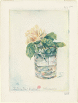 La rose dans un verre