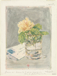La rose dans un verre