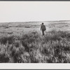 Spanish muskrat trapper going out at dawn to make the rounds of his traps. He usually returns to his camp in the marshes about three or four o'clock in the afternoon. Delacroix Island. Saint Bernard Parish, Louisiana.