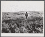 Spanish muskrat trapper going out at dawn to make the rounds of his traps. He usually returns to his camp in the marshes about three or four o'clock in the afternoon. Delacroix Island. Saint Bernard Parish, Louisiana.