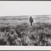 Spanish muskrat trapper going out at dawn to make the rounds of his traps. He usually returns to his camp in the marshes about three or four o'clock in the afternoon. Delacroix Island. Saint Bernard Parish, Louisiana.