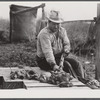 French trapper skinning his muskrats before hanging them up to dry in front of his marsh camp. Delacroix Island, Saint Bernard Parish, Louisiana.