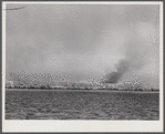 Before the trappers start trapping their land they set fire to the marshes, so they can get around and find the muskrat houses and "runs" easily. The houses are not burned as they are surrounded by water. Delacroix Island, Saint Bernard Parish, Louisiana.