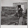 Spanish trapper returning to his camp after checking up on his muskrat traps. On the left are the skins hanging up to dry. In the marshes near Delacroix Island, Louisiana. See general caption number one.