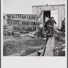 Spanish trapper returning to his camp after checking up on his muskrat traps. On the left are the skins hanging up to dry. In the marshes near Delacroix Island, Louisiana. See general caption number one.