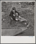 Spanish trapper's son setting the trap which he made to catch birds by his camp in the marshes near Delacroix Island, Louisiana.