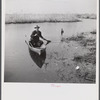 Spanish trapper returning home to his camp in the marshlands near Delacroix Island, Louisiana. He has been out in his hand built piroque (canoe) checking up on his muskrat traps.