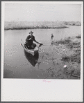 Spanish trapper returning home to his camp in the marshlands near Delacroix Island, Louisiana. He has been out in his hand built piroque (canoe) checking up on his muskrat traps.
